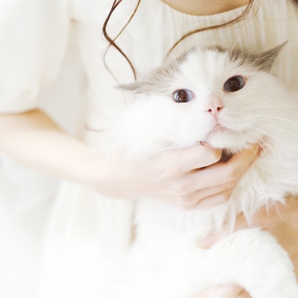 ほんとうにかわいい結婚写真ecoo（エクー）が撮影した「:albumName」の写真