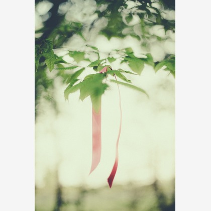 Photography Renato Zanetteが撮影したウェディングや家族、ビジネスの写真