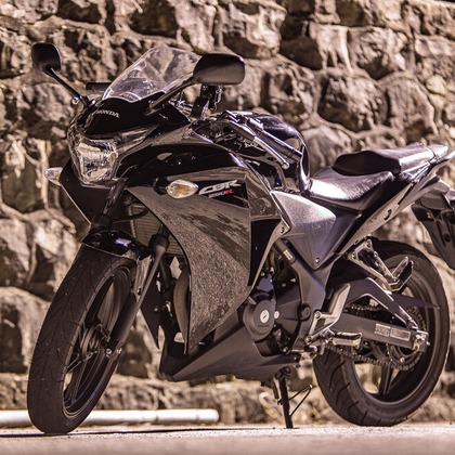 酒井 真於が撮影したその他の写真