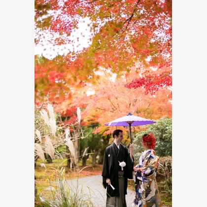 アトリエカーシャが撮影したウェディングや家族、ビジネスの写真