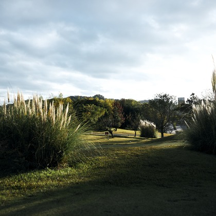 kiharu&photoが撮影した「:albumName」の写真