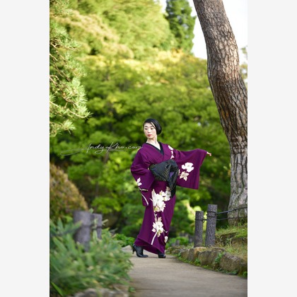 Andy Khoが撮影した「:albumName」の写真