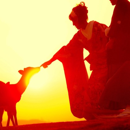 キキフォトワークスが撮影した「夕日」の写真