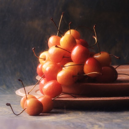 kiharu&photoが撮影した「:albumName」の写真