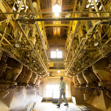 kentarou shimizuが撮影した不動産/竣工の写真