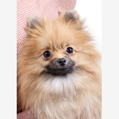 森安　照が撮影した「:albumName」の写真