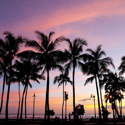 yamatoが撮影したウェディングや家族、ビジネスの写真