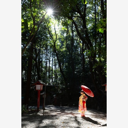 デグチマミが撮影したマタニティフォト/家族写真の出張撮影/七五三フォト/お宮参りの写真