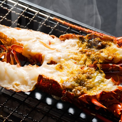 studio white alice 五十嵐啓が撮影した料理撮影の写真