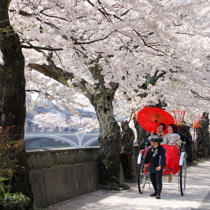 アート工房が撮影した前撮り/後撮り出張撮影の写真
