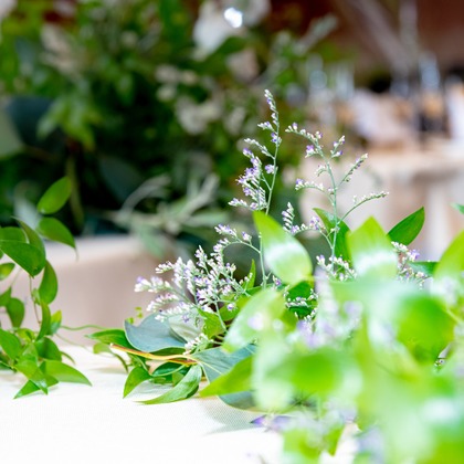 スタジオファンタスが撮影した「:albumName」の写真