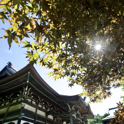 TATEZOUが撮影したイベント/スナップ撮影の写真