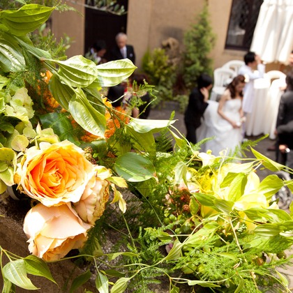 MAKOTO TOCHIKUBOが撮影したウェディングや家族、ビジネスの写真