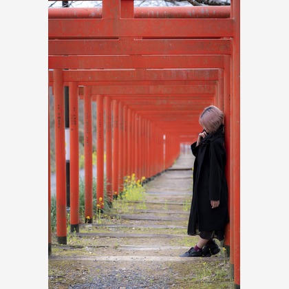 ならもとかずやが撮影した「:albumName」の写真