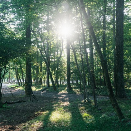 Aya Petite Photographyが撮影した「:albumName」の写真