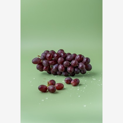 Hiroが撮影した「:albumName」の写真