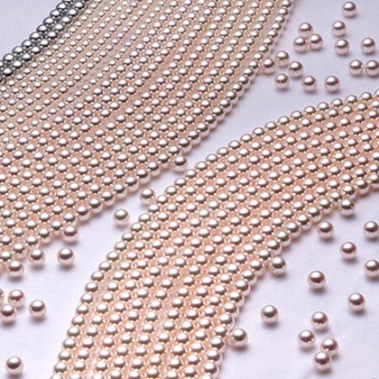 ワンツーBフォトが撮影した「:albumName」の写真