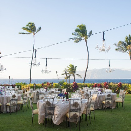 Willow Photoが撮影したウェディングや家族、ビジネスの写真