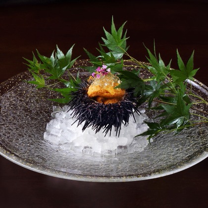 森安　照が撮影した「:albumName」の写真