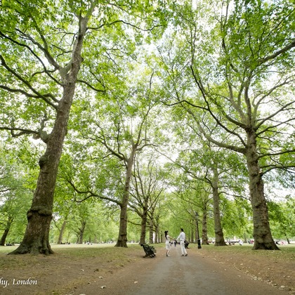 Michi Photographyが撮影した「ウェディング・結婚」のウェディングフォト - :albumName