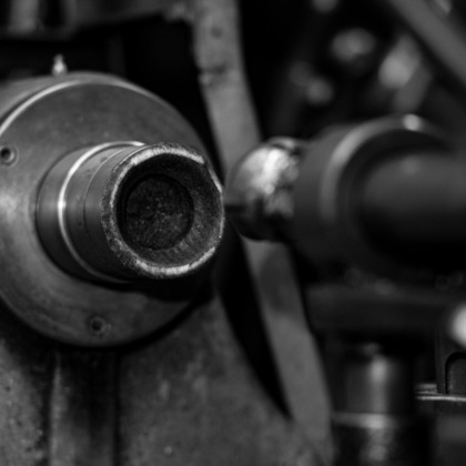 スタジオファンタスが撮影した「:albumName」の写真