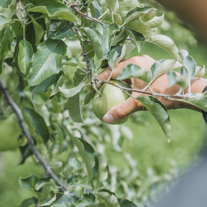 スタジオらしさが撮影した「:albumName」の写真