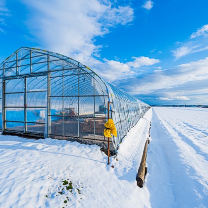 高木勇斗が撮影したその他の写真