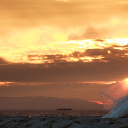 Photo of other photos taken by PURE ARTIS