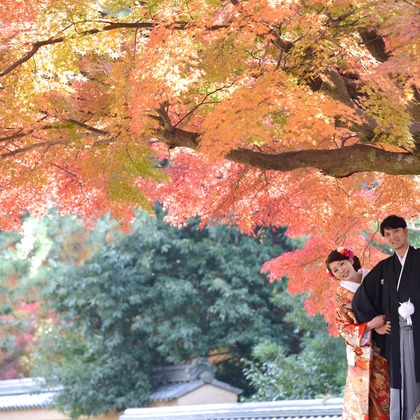 キキフォトワークスが撮影した「:albumName」の写真