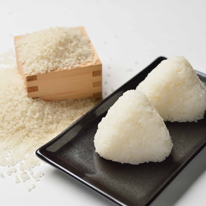 スタジオ11が撮影した「:albumName」の写真