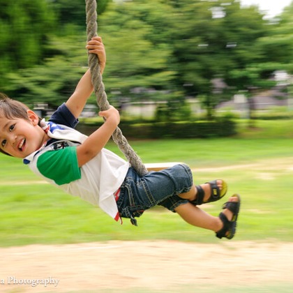 名畑文巨写真事務所が撮影した「:albumName」の写真