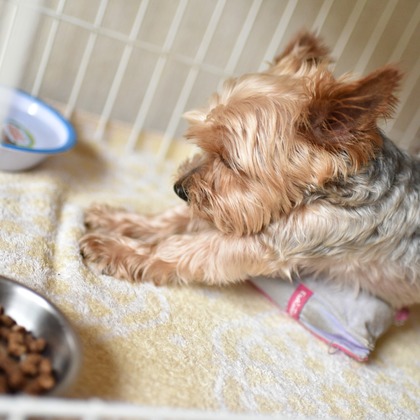 大熊和輝が撮影したウェディングや家族、ビジネスの写真