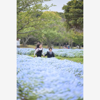 吉村　恵三が撮影した「:albumName」の写真