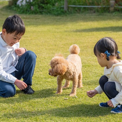 あなたの写真館が撮影した「:albumName」の写真