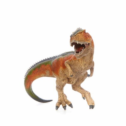 赤木写真事務所（代表　赤木武博）が撮影した商品/物撮り/不動産/竣工の写真