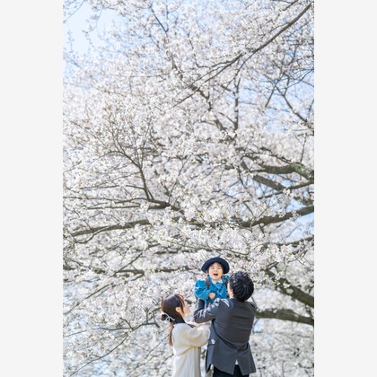 Tempstendreが撮影した「:albumName」の写真