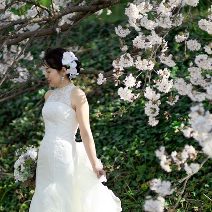 Photo of Kyoto　Prewedding photo with cherryblossom taken by saruco(Hisashi Iwasaki)