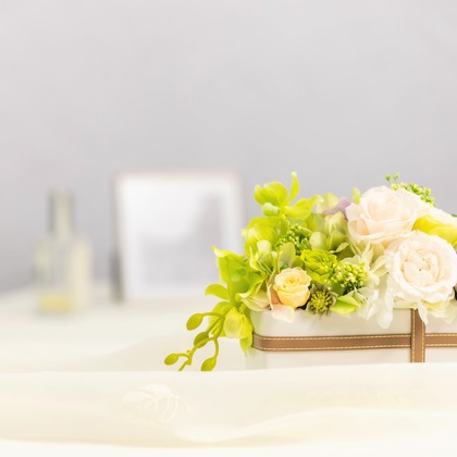 Minminが撮影した商品/物撮りの写真