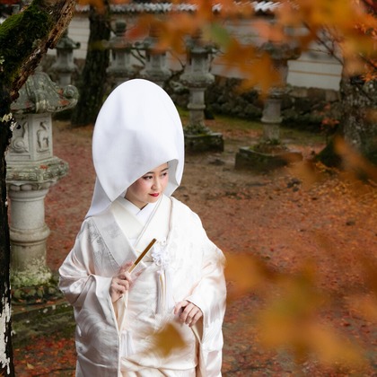 樋上孝典が撮影した「:albumName」の写真