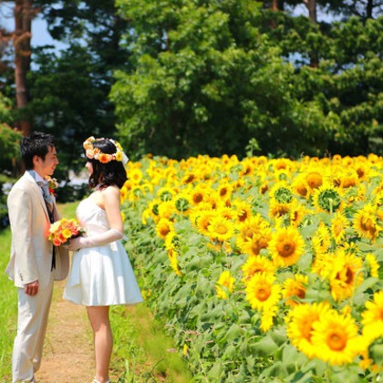 セリエドレッシングが撮影したウェディングや家族、ビジネスの写真