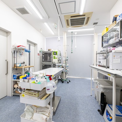 吉田佳央が撮影した「:albumName」の写真