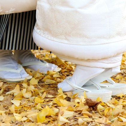 Photo of :albumName taken by Smilehunter