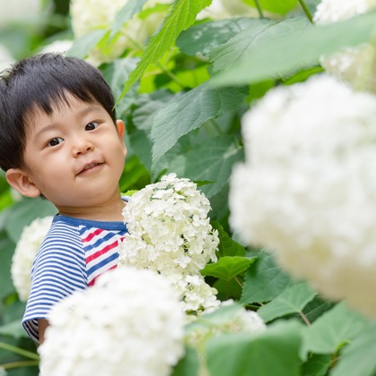 和Photographが撮影した「:albumName」の写真