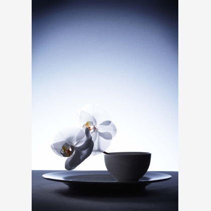 kiharu&photoが撮影した「:albumName」の写真