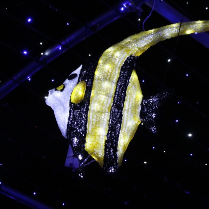 ＮＫ フォトエージェンシーが撮影したその他の写真