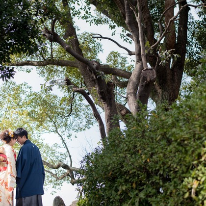 U-CONCENT (香川裕貴)が撮影したウェディングや家族、ビジネスの写真