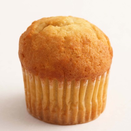 森安　照が撮影した「:albumName」の写真