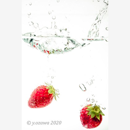 ヨッシ～が撮影したウェディングや家族、ビジネスの写真