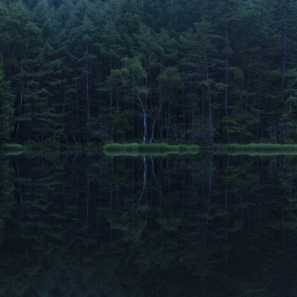 鶴巻直満(T-PHOTO OFFICE)が撮影した「:albumName」の写真