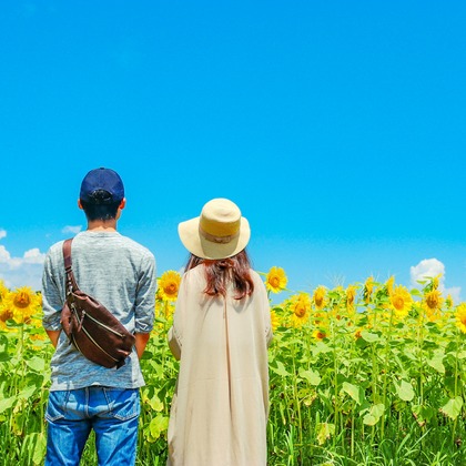 CREATIVE HOUSEが出張撮影した水着トップ, 自転車-機器と備品, ワンピースなどが写った「カップル・友人」の家族写真